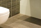 Point Souttartoilet-repairs-and-replacements-5.jpg; ?>